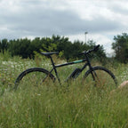 Whippet Crossbar Electric Bike 250w