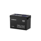 48V 50Ah Smart Lithium Iron Phosphate Battery w/Self-heating | Core Series