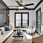 52 Inches Black and Gold Modern Ceiling Fan with LED Lights, 6 Speeds DC Motor Indoor Ceiling Fan for Large Room