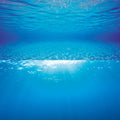 Juwel Aquarium Background Poster - Multiple Sizes
