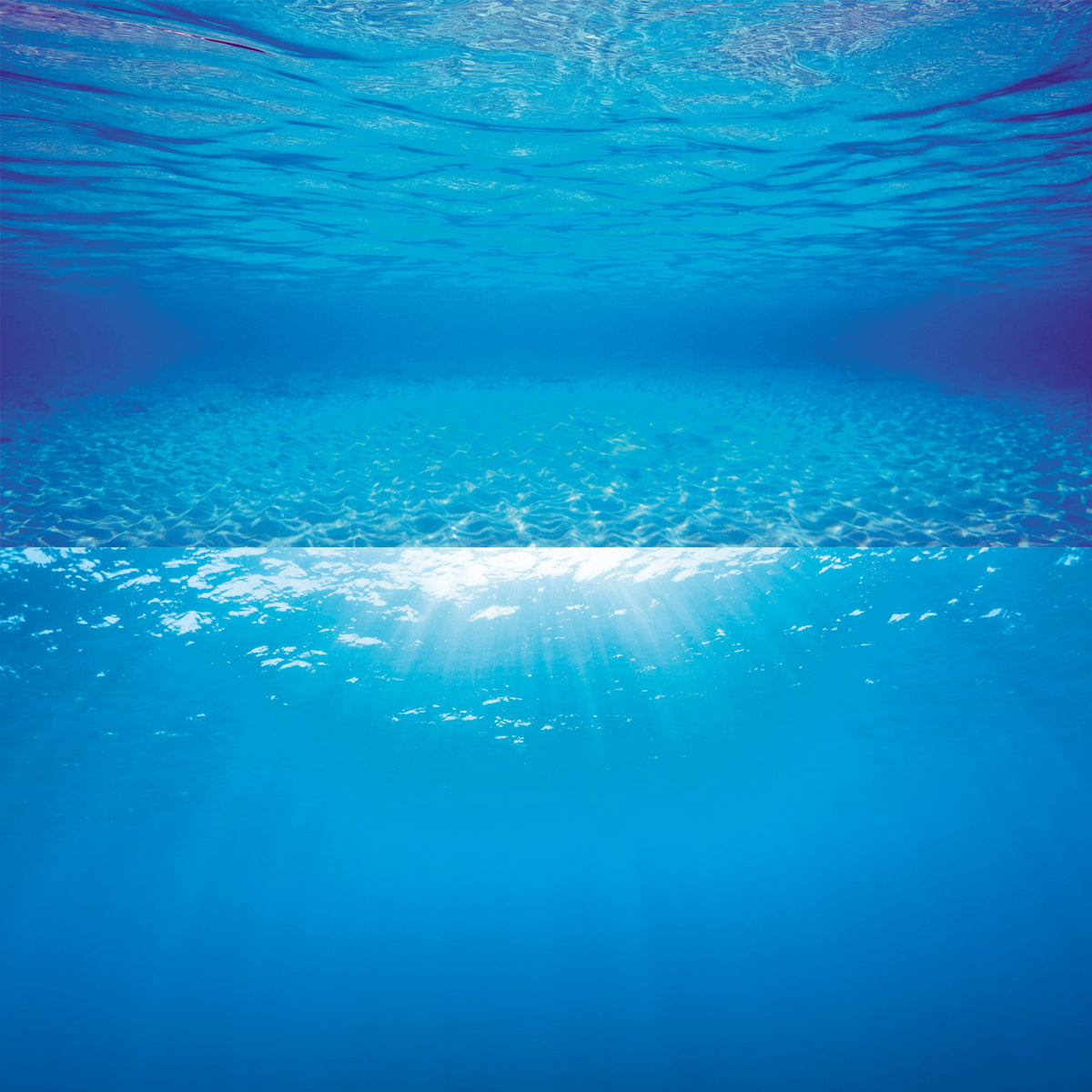 Juwel Aquarium Background Poster - Multiple Sizes