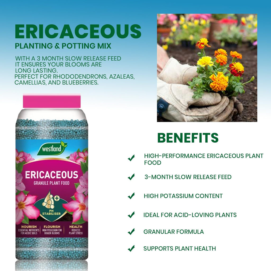 Westland Ericaceous Specialist Plant Food Slow Release Soil Granules Jar 900g