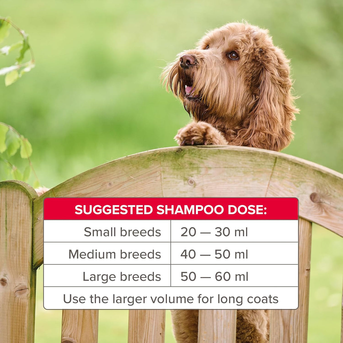 Beaphar Insecticidal Flea Shampoo 250ml