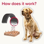 Beaphar Canishield Medicated Collar 4-6 Months up to 65cm
