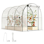 3 x 2 x 2 m Polytunnel Greenhouse with Roll-up Door, Clear