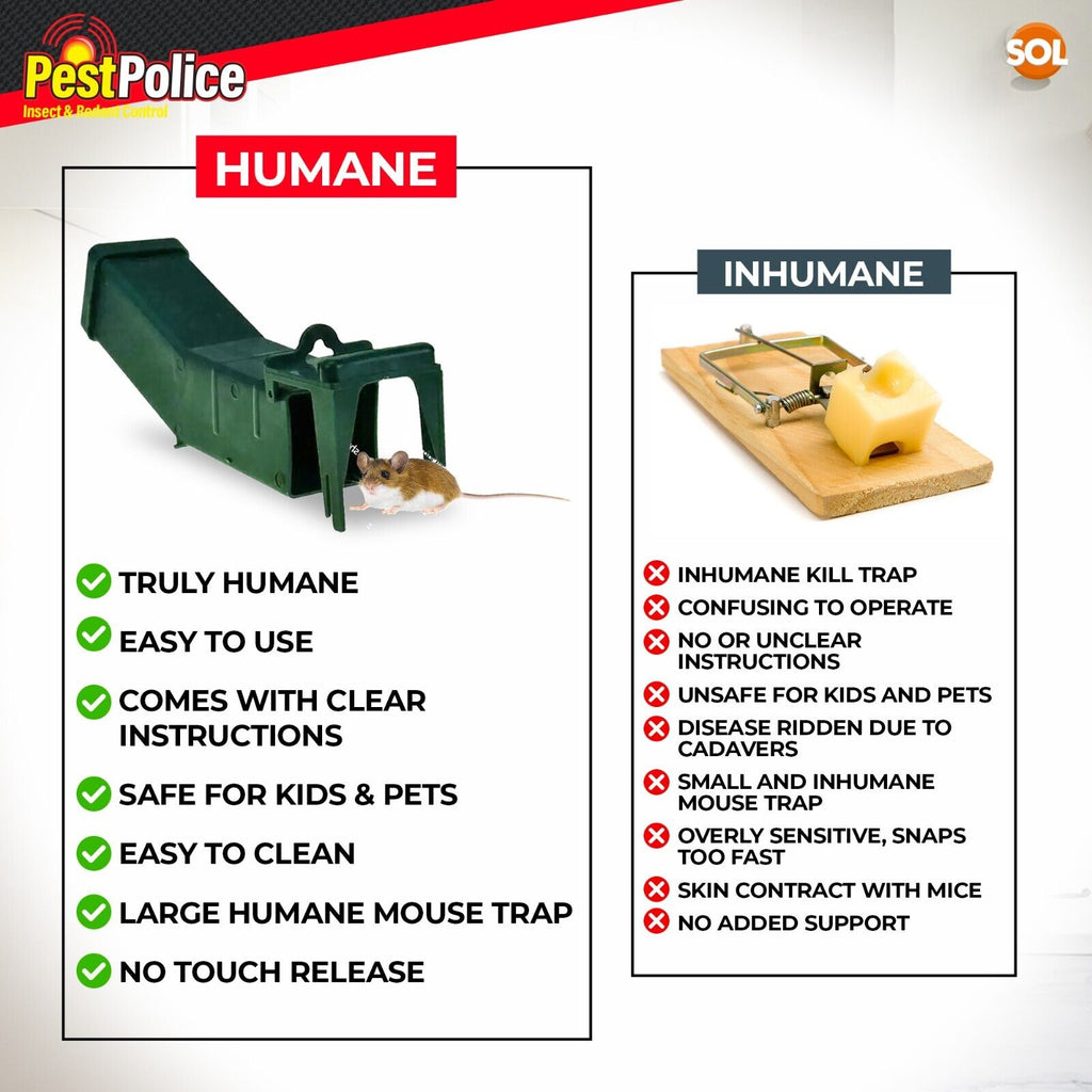 Humane Mouse Trap | Live Catch Rodent Cage Indoor Use