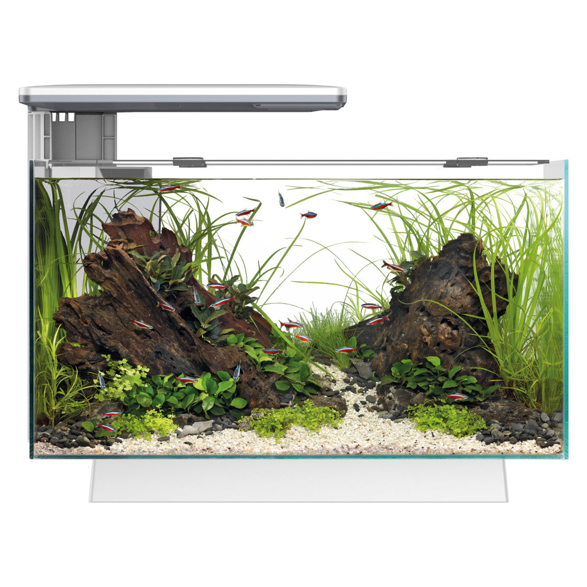 Superfish Quadro 40 Pro Aquarium (White/Blue LED)