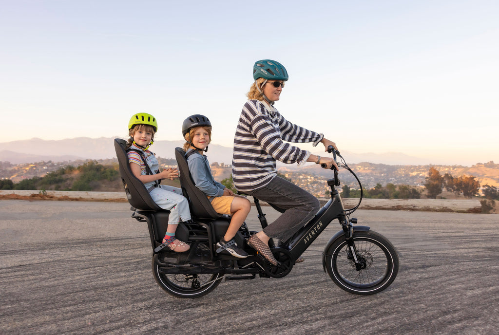 Thule Yepp Nexxt 2 Maxi Rack Mount Child Seat
