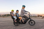 Thule Yepp Nexxt 2 Maxi Rack Mount Child Seat