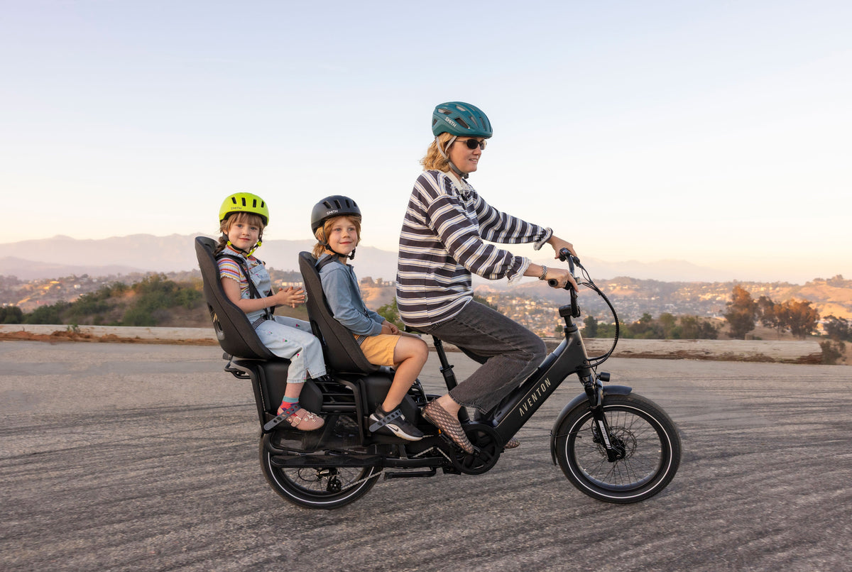Thule Yepp Nexxt 2 Maxi Rack Mount Child Seat