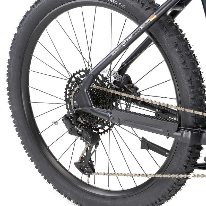 Viking Pro Mountain Electric Bike