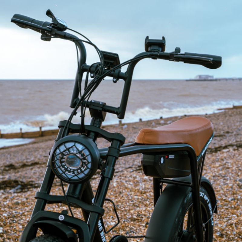 Big Game Bikes Warthog Fat Tyre Electric Bike 250W