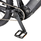 Viking Pro Mountain Electric Bike