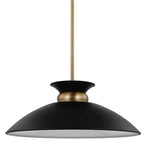 Open Box - Nuvo Lighting 60/7461 - Pendants Indoor Lighting