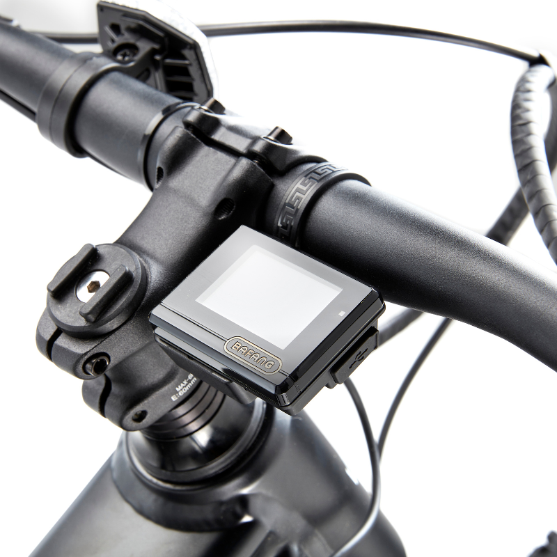Viking Pro Mountain Electric Bike