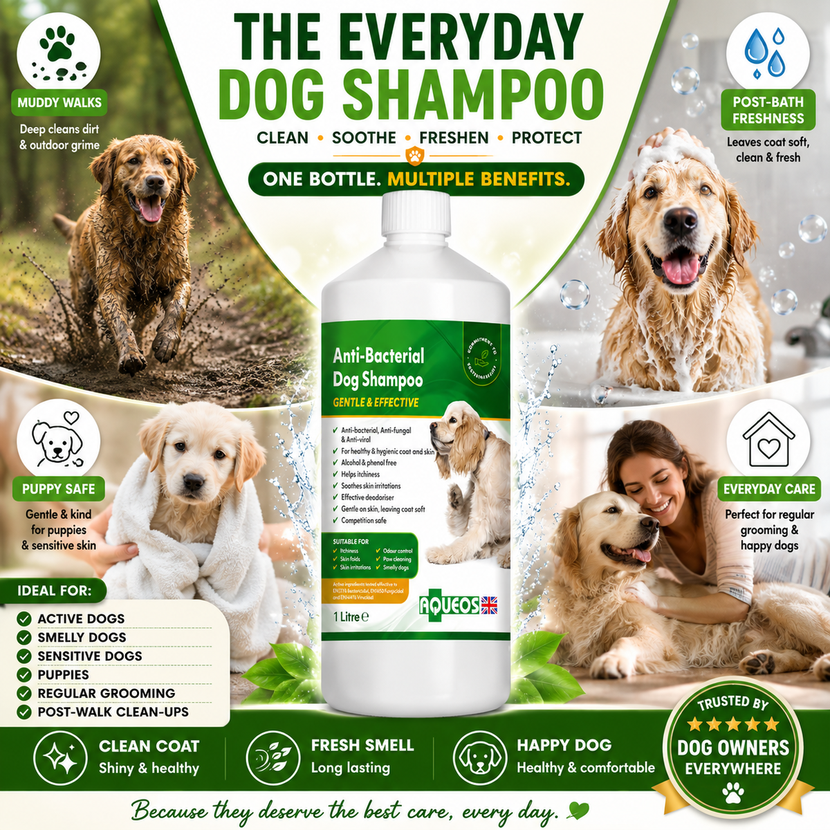 Aqueos Medicated Dog Shampoo 1 Litre Anti Fungal Bacterial Viral Itch Relief