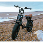 Big Game Bikes Warthog Fat Tyre Electric Bike 250W