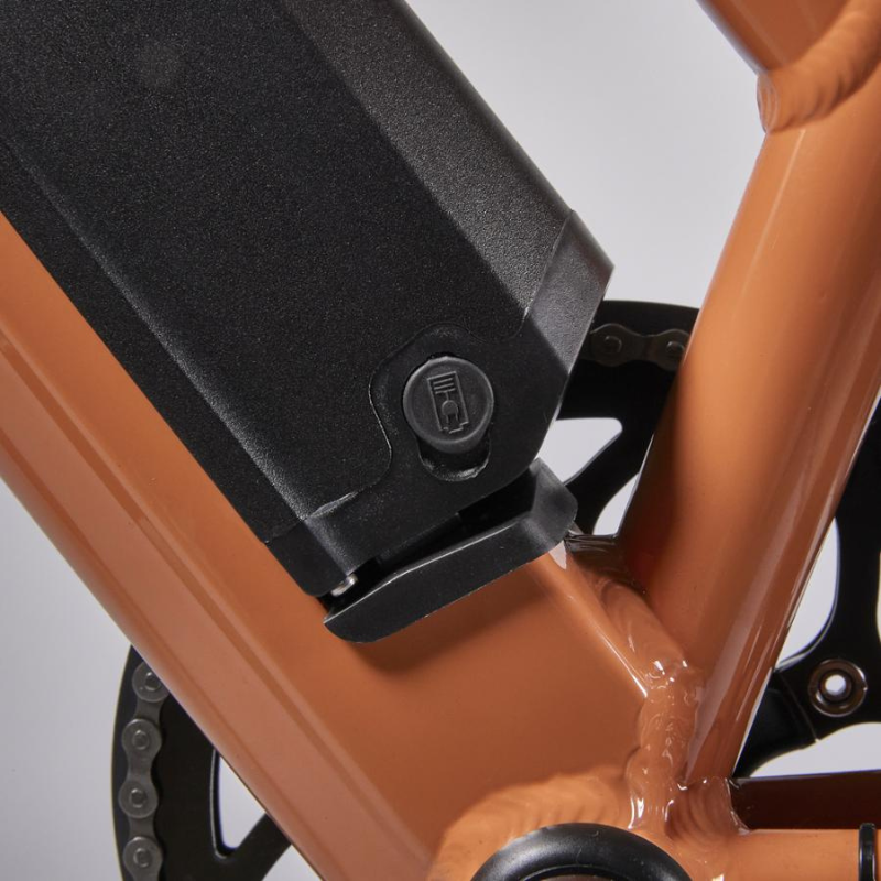 Juicy Bike Roller Hybrid Step Through Electric Bike