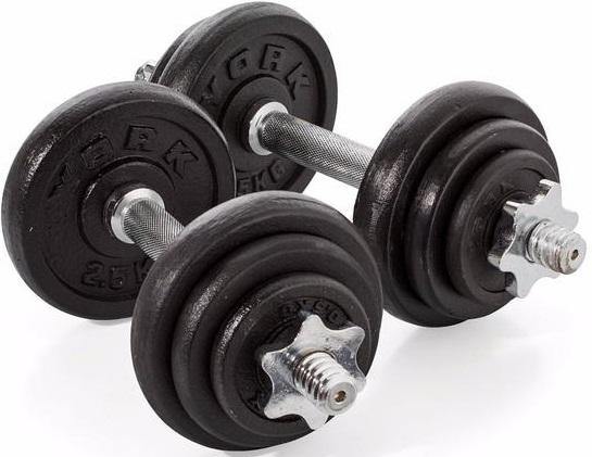 York 20kg Black Cast Iron Dumbell Set in a case