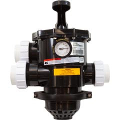 Pentair TA Tagelus 262525 2" Filter Top Mount Multiport Valve with Clamp