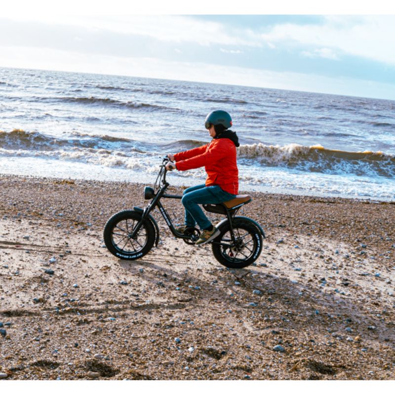 Big Game Bikes Warthog Fat Tyre Electric Bike 250W