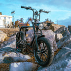 Big Game Bikes Warthog Fat Tyre Electric Bike 250W