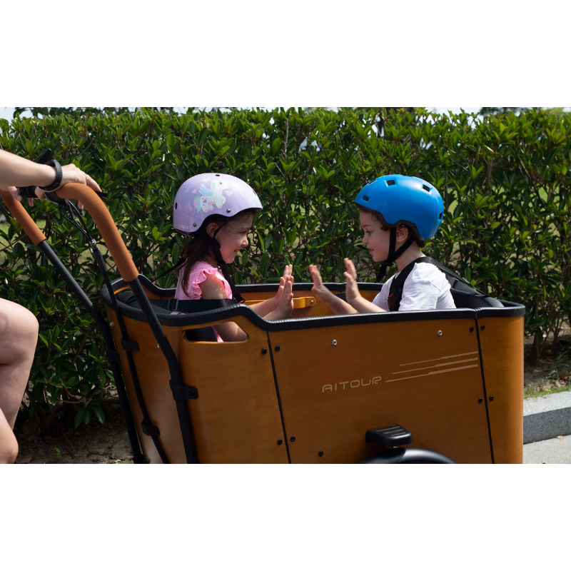 Aitour Cargo Electric Bike - Family C 250W