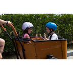 Aitour Cargo Electric Bike - Family C 250W