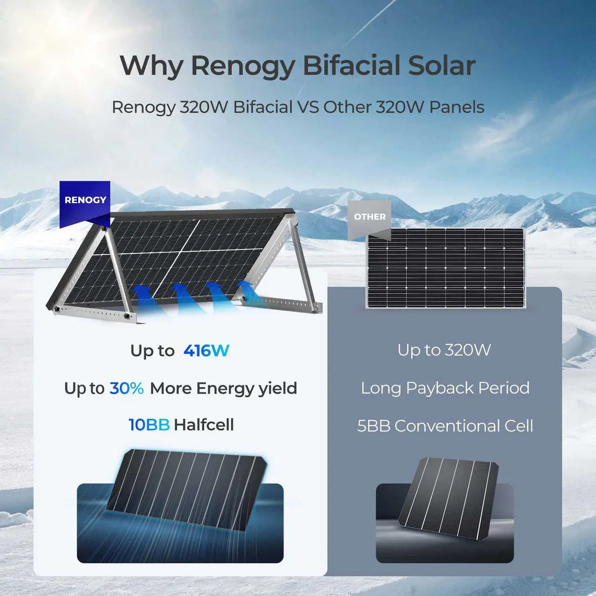 320W Bifacial Solar Panel（2-Pack）