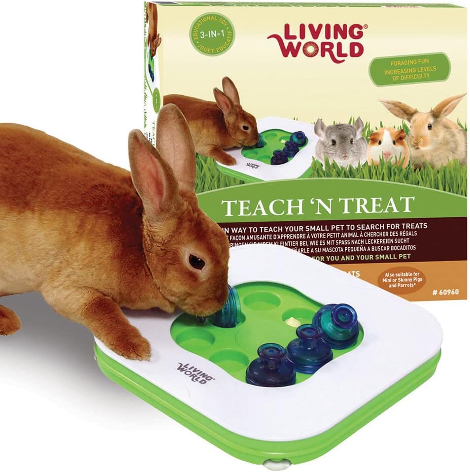 Interactive Toy for Small Pets: Living World Teach 'N Treat
