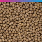 NT Labs EconoKoi Pond 10kg 6mm Pellets