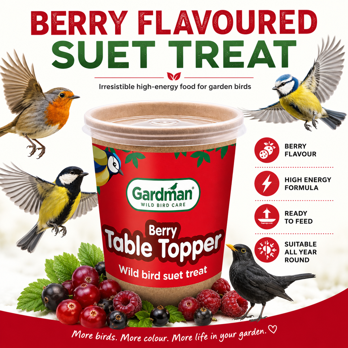 Gardman Table Toppers Berry High Energy Wild Bird Treats Food