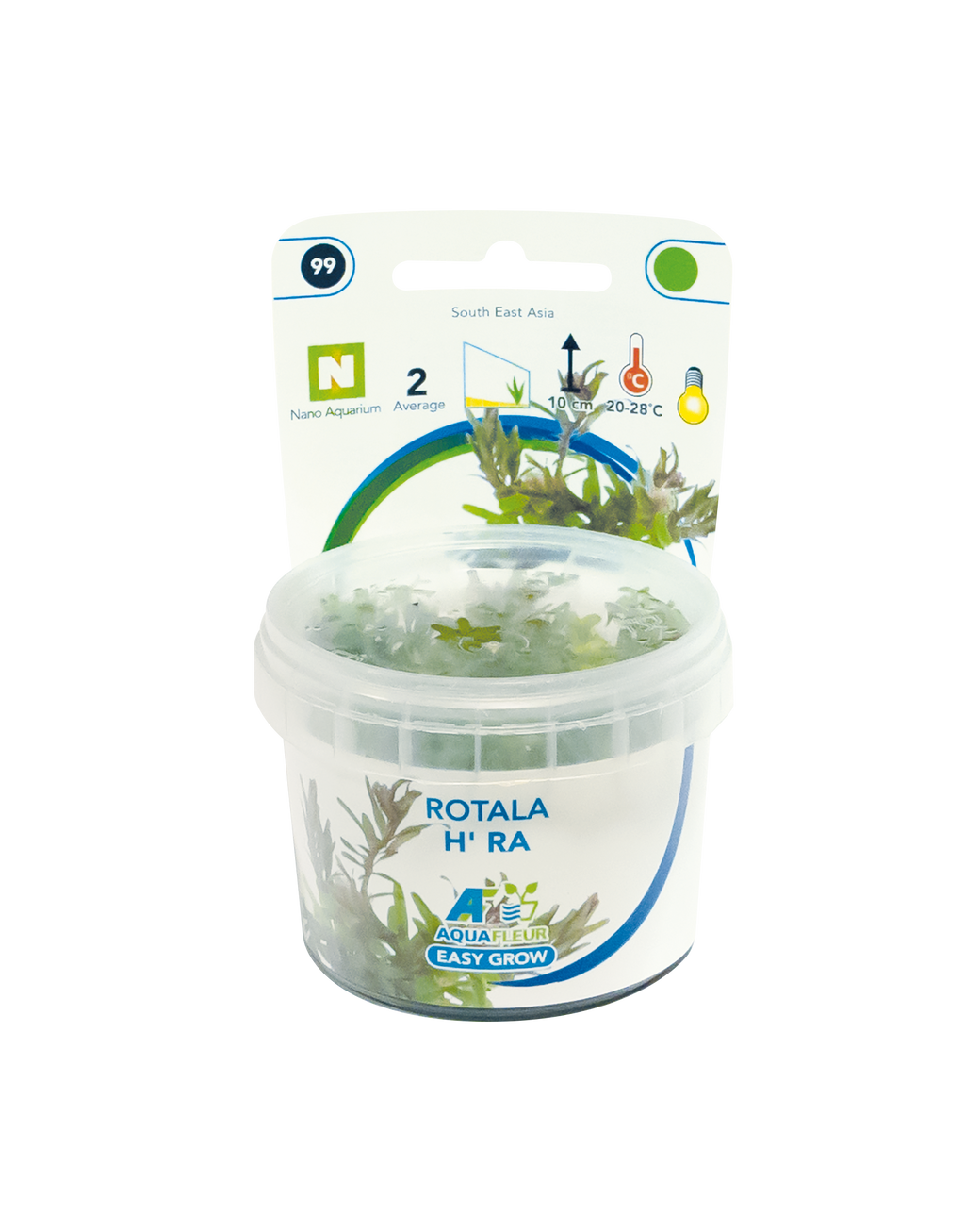 Aquafleur Easy Grow 99 Rotala H'ra Aquarium Live Plant