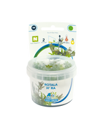 Aquafleur Easy Grow 99 Rotala H'ra Aquarium Live Plant