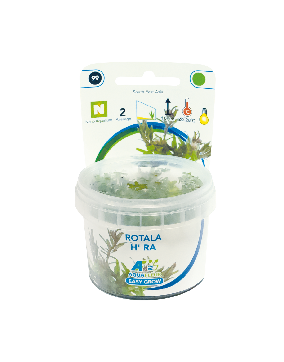 Aquafleur Easy Grow 99 Rotala H'ra Aquarium Live Plant