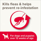 Beaphar Insecticidal Flea Shampoo 250ml