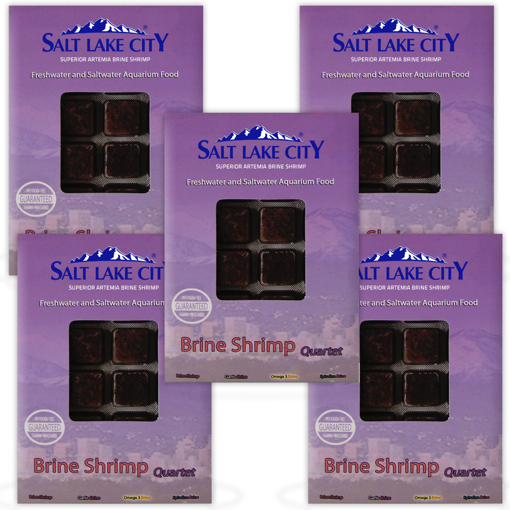BCUK Frozen Brine Shrimp Quartet with Enriched Varieties