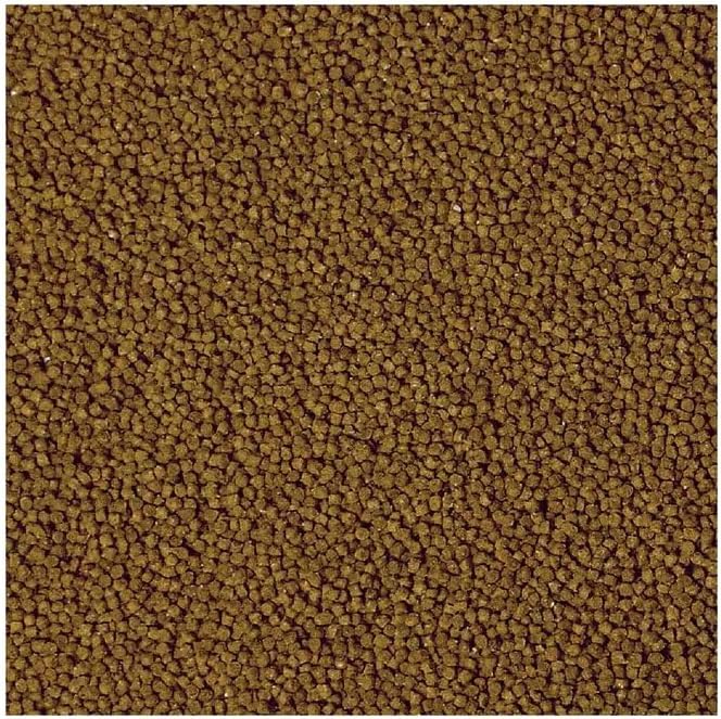 Aquarian Goldfish Pellets 100g – Balanced Diet for All Goldfish