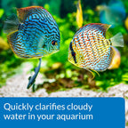 Bermuda Tapwater Conditioner - Instant Dechlorination for Ponds