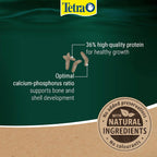 Tetra ReptoMin Energy Turtle Terrapin Food Health Growth Reptile Tank