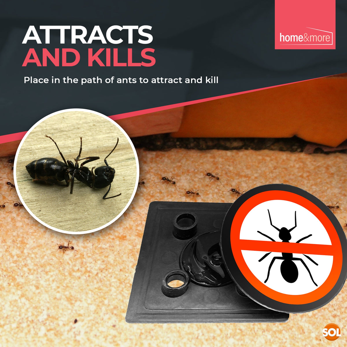 Ant Trap Bait Station | Stop Ants Killer Indoor & Outdoor | 6 Pack