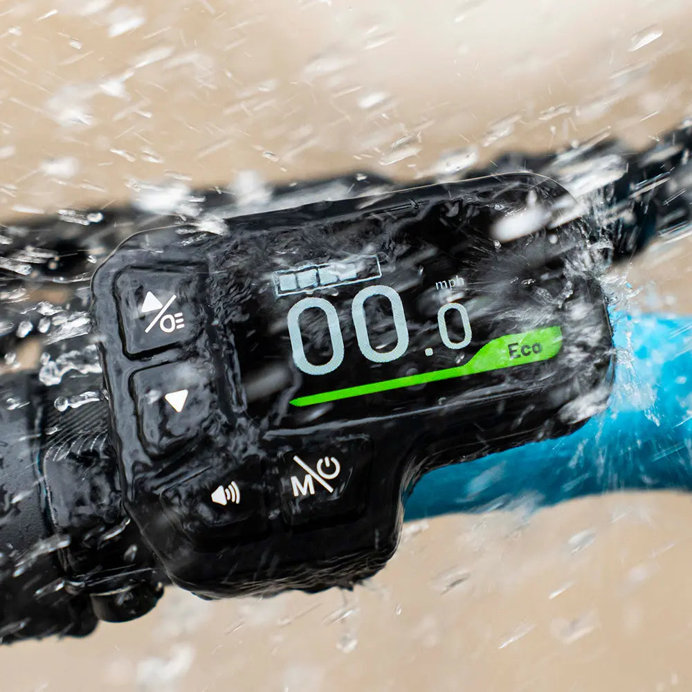 Fiido M1 Pro Fat Tire Electric Bike