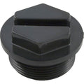 Winterizing Plug, Pentair American Products Eclipse 86203300
