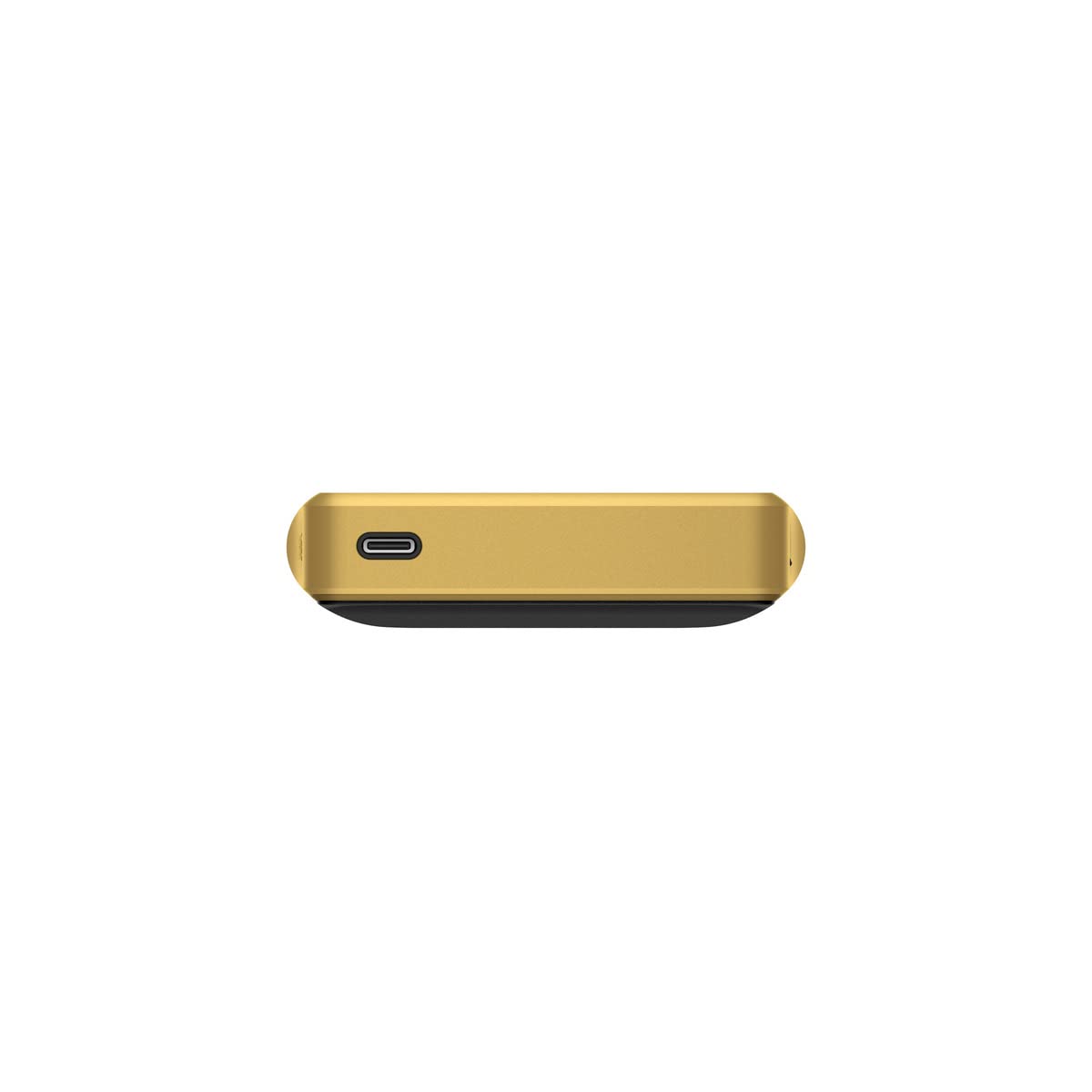 Certified Refurbished - SONY NWWM1ZM2 MP3 Players