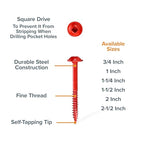 Bora Pocket Hole Screws 1-1/2 in Fine Thread 250 Piece - size: 1-1/2 inch (250 Piece), style: Fine Thread