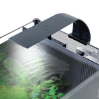 Fluval Betta LED Glass Aquarium 22.7L