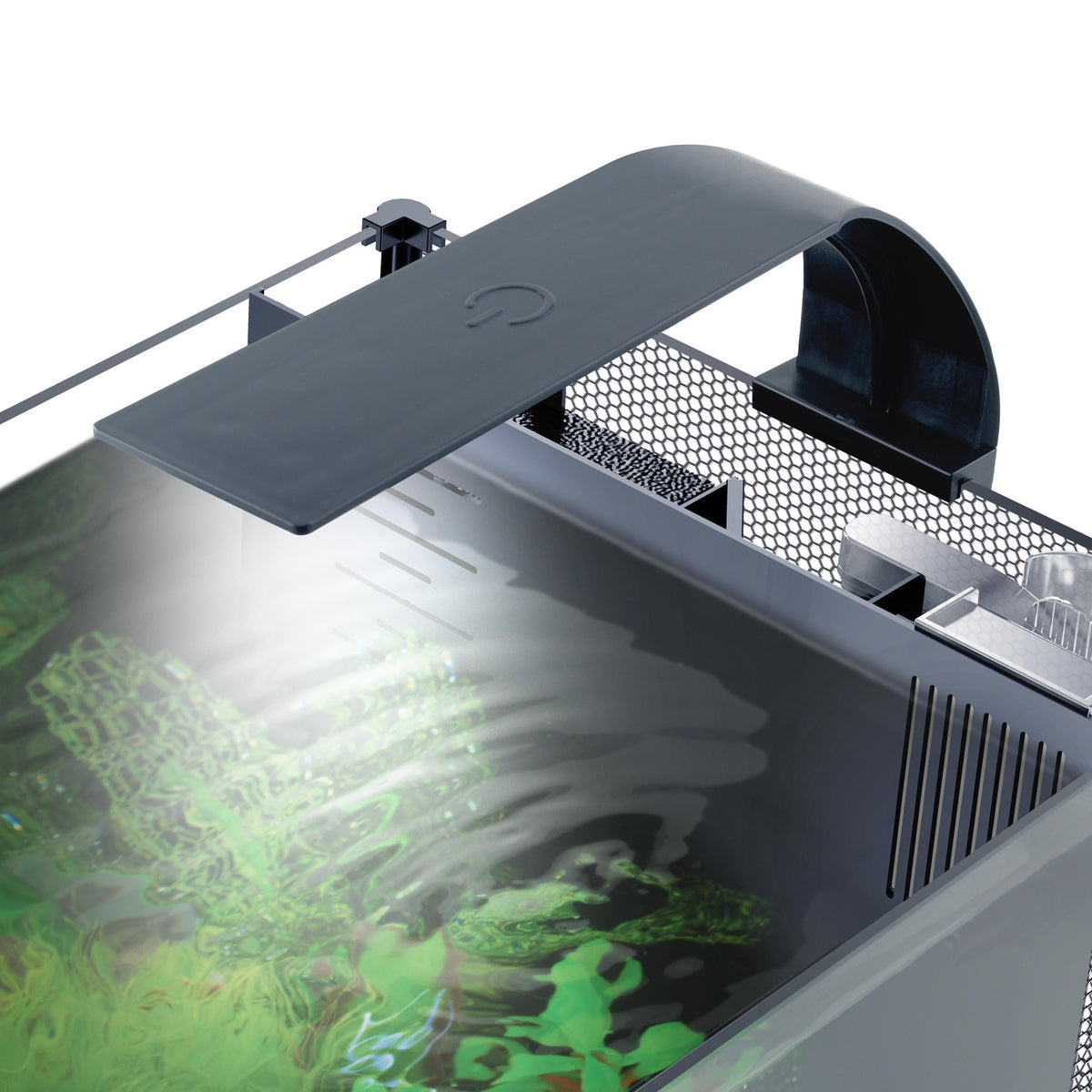 Fluval Betta LED Glass Aquarium 22.7L