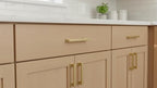 Alzassbg Brushed Brass Cabinet Pulls and Handles 10 Pack, AL3061BB - color: Brushed Brass, size: 3-3/4" Hole Center