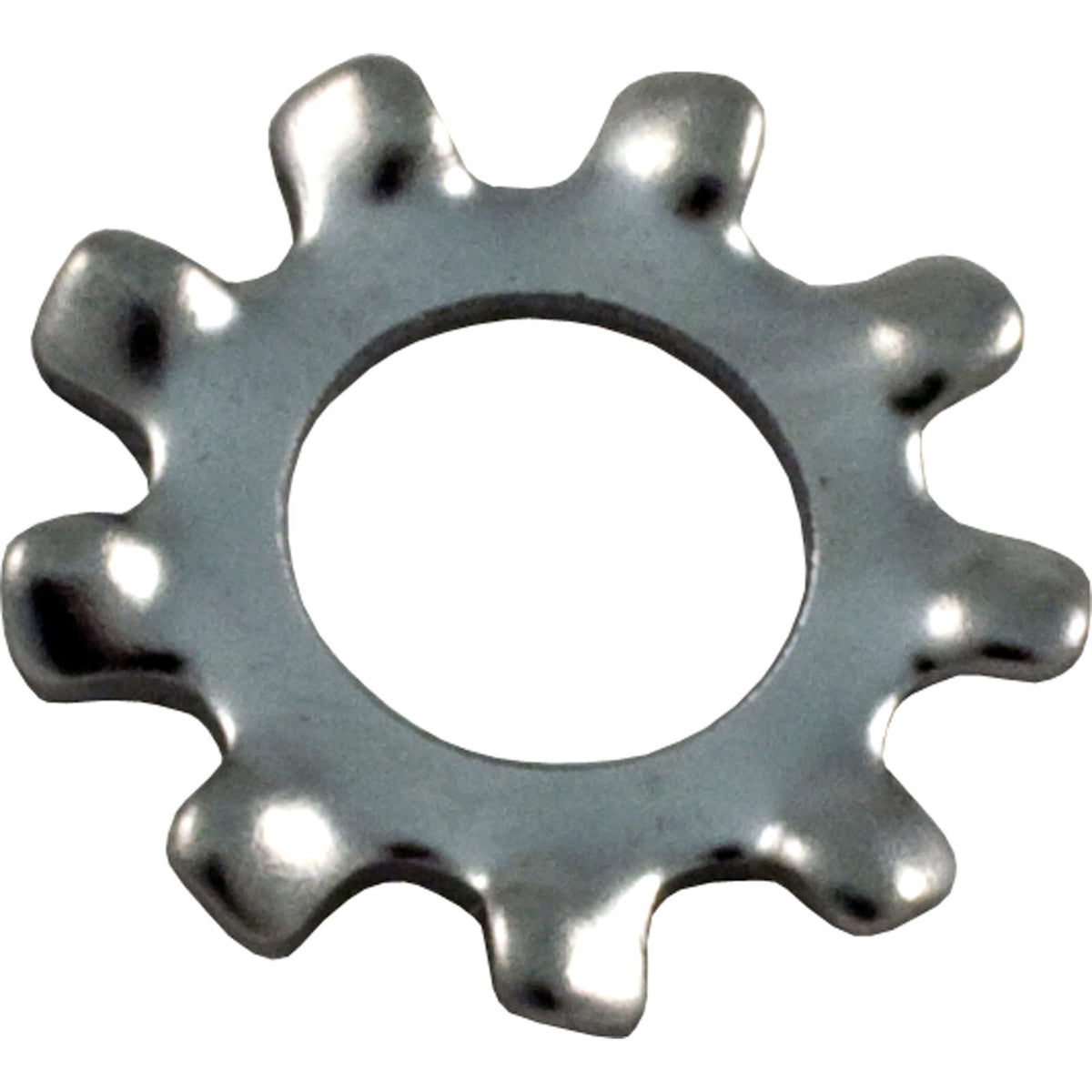 Lock Washer, Pentair Sta-Rite, #8/ U43-21SS
