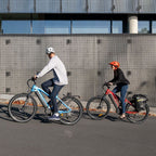 Hikobike Rangler Mid Drive Step Through Electric Bike